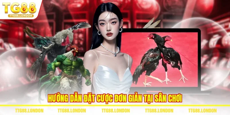 Hướng dẫn đặt cược đơn giản tại sân chơi