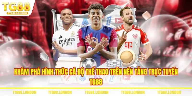 Khám phá hình thức cá độ thể thao trên nền tảng trực tuyến TG88