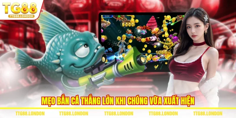 Mẹo bắn cá thắng lớn khi chúng vừa xuất hiện
