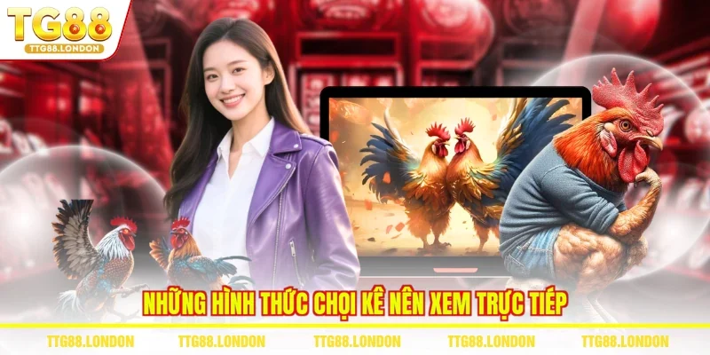 Những hình thức chọi kê nên xem trực tiếp